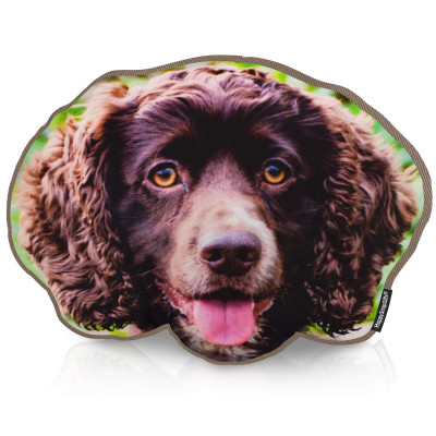 Dog Face Cushion