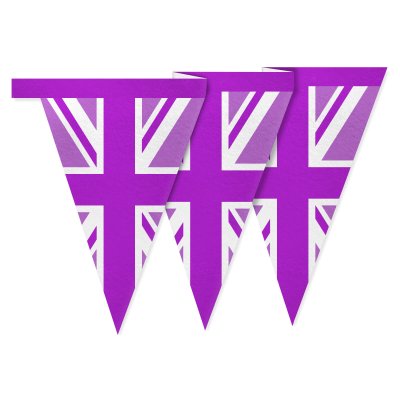 - 1 Metre with 8 Flags (20cm) Purple Mock Suede Polyester Fabric (Personalised with Text)