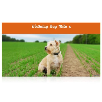 (Orange) 150cm x 55cm (70gsm) (Personalised with Text)