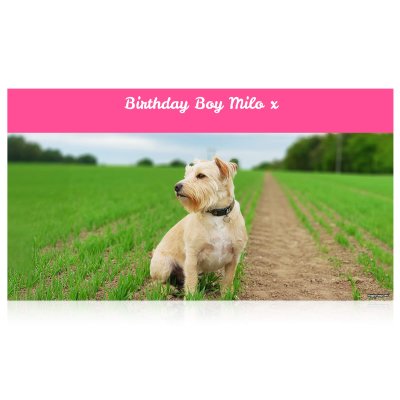 (Pink) 150cm x 55cm (70gsm) (Personalised with Text)