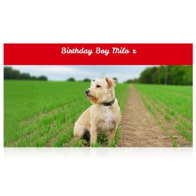 (Red) 150cm x 55cm (70gsm) (Personalised with Text)