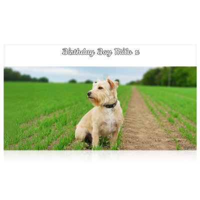 (White) 110cm x 55cm (70gsm) (Personalised with Text)