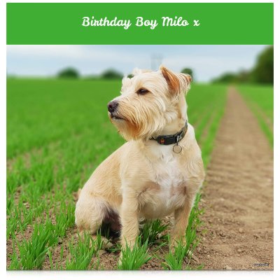 (Green) 110cm x 110cm (70gsm) (Personalised with Text)