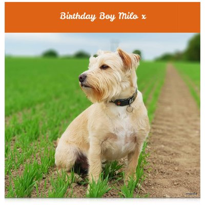 (Orange) 110cm x 110cm (70gsm) (Personalised with Text)