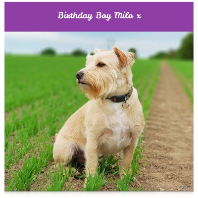 (Purple) 110cm x 110cm (70gsm) (Personalised with Text)