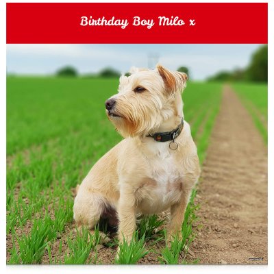 (Red) 110cm x 110cm (70gsm) (Personalised with Text)
