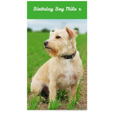 (Green) 110cm x 200cm (Personalised with Text)