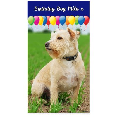 with Balloon Design (Navy Blue) 55cm x 200cm (Personalised with Text)