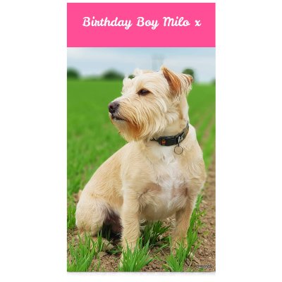 (Pink) 75cm x 150cm (Personalised with Text)