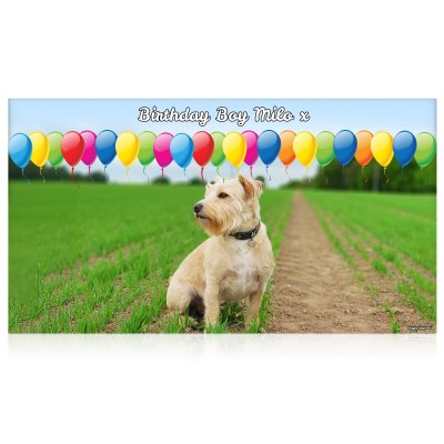 with Balloon Design 150cm x 55cm (70gsm) (Personalised with Text)