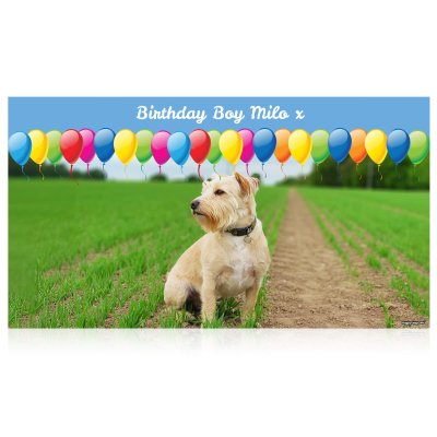 with Balloon Design (Sky Blue) 200cm x 55cm (70gsm) (Personalised with Text)