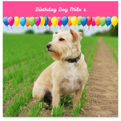 with Balloon Design (Pink) 110cm x 110cm (70gsm) (Personalised with Text)