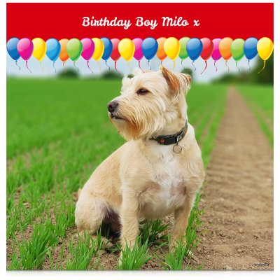 with Balloon Design (Red) 110cm x 110cm (70gsm) (Personalised with Text)