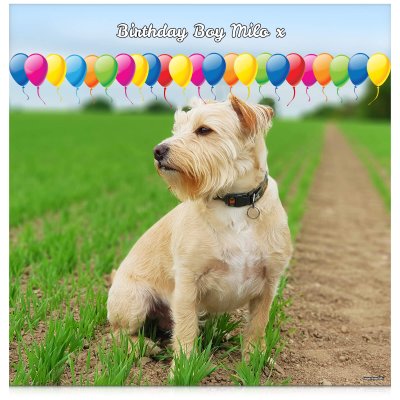 with Balloon Design 110cm x 110cm (70gsm) (Personalised with Text)