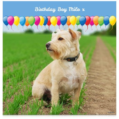 with Balloon Design (Sky Blue) 110cm x 110cm (70gsm) (Personalised with Text)