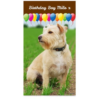 with Balloon Design (Brown) 110cm x 200cm (Personalised with Text)