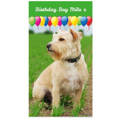with Balloon Design (Green) 75cm x 150cm (Personalised with Text)
