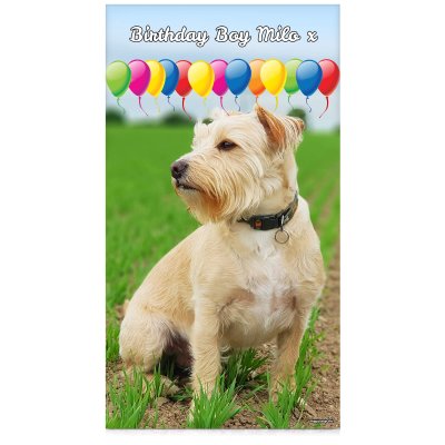 with Balloon Design 55cm x 150cm (Personalised with Text)