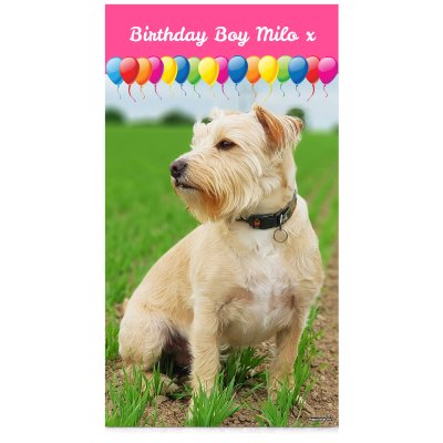 with Balloon Design (Pink) 110cm x 200cm (Personalised with Text)