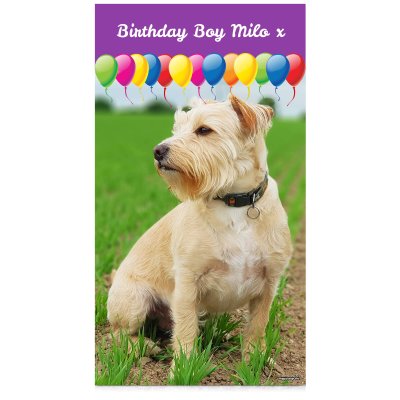 with Balloon Design (Purple) 55cm x 110cm (Personalised with Text)