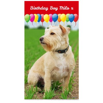 with Balloon Design (Red) 55cm x 110cm (Personalised with Text)