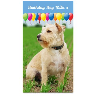 with Balloon Design (Sky Blue) 55cm x 110cm (Personalised with Text)