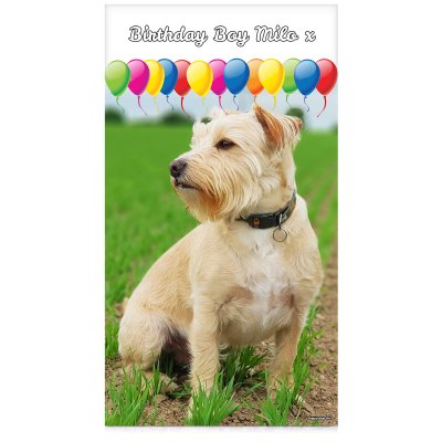 with Balloon Design (White) 55cm x 150cm (Personalised with Text)
