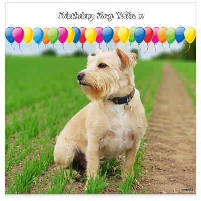 with Balloon Design (White) 110cm x 110cm (70gsm) (Personalised with Text)