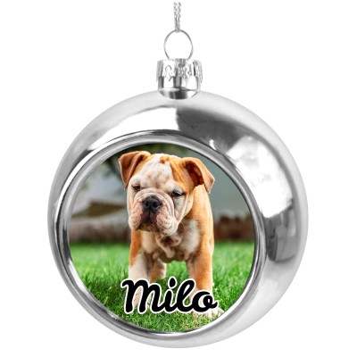 (Silver) (Personalised with Text)