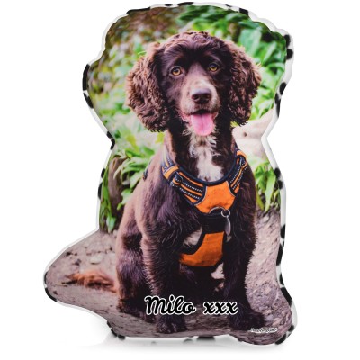Larger Size - Paws Fleece Fabric (Personalised with Text)