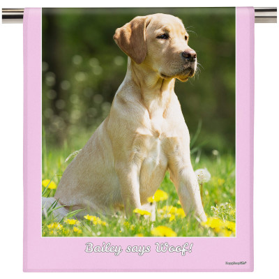 (58cm) Colour Frame Theme Baby Pink (Personalised with Text)