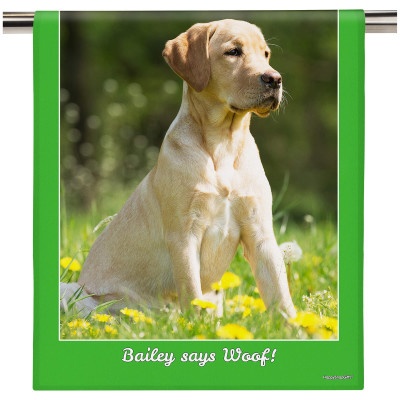 (58cm) Colour Frame Theme Bright Green (Personalised with Text)