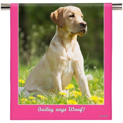 (58cm) Colour Frame Theme Hot Pink (Fuchsia) (Personalised with Text)