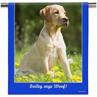 (58cm) Colour Frame Theme Royal Blue (Personalised with Text)