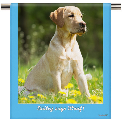 (58cm) Colour Frame Theme Sky Blue (Personalised with Text)