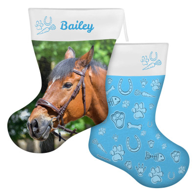 (45cm) Pet Theme Sky Blue Soft Velvet Polyester Fabric (Personalised with Text)