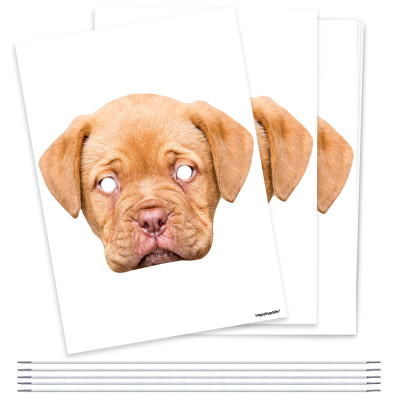 Pack of 5 (A4) DIY Masks + Elastics