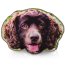 Dog Face Cushion
