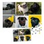 300 Pieces (Edge to Edge Photo Print) (Personalised with Text) & Matching Drawstring Gift Bag