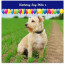 with Balloon Design (Navy Blue) 110cm x 110cm (70gsm) (Personalised with Text)