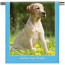 (58cm) Colour Frame Theme Sky Blue (Personalised with Text)