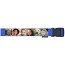 (180cm) - Royal Blue with Standard Buckle (Personalised with Text)