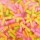 Pink Icing Sprinkles